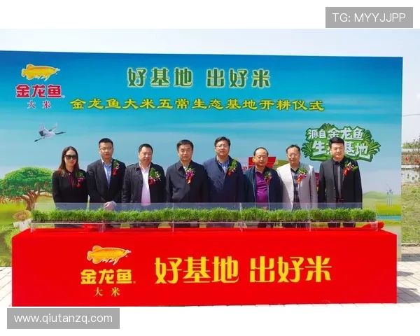 博鱼体育平台投注安全保障措施全面解析保障用户资金与信息安全